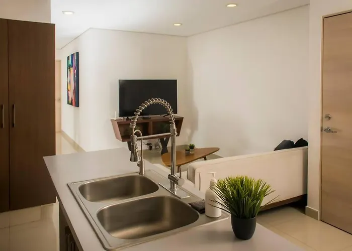 Spacious, Modern Luxury In Roma Norte